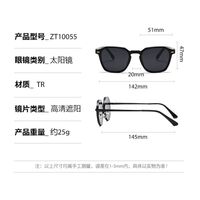 Plastic polarized sunglasses Elit ZT-10055-EL