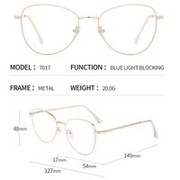 Metal Blue Ray Cut protection 