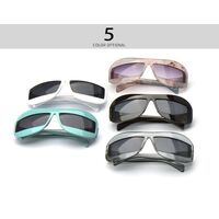 Plastic sunglasses Elit 9144-EL