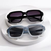 Plastic + metal retro square sunglasses for men Elit WH6106-EL