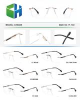 Оправа металлическая безободковая с флексом CH6600-DA