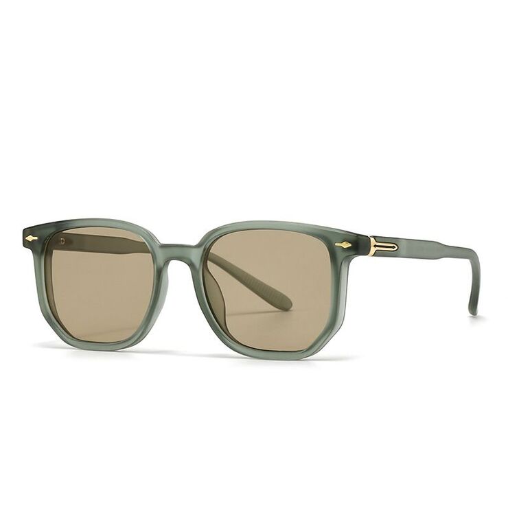Plastic retro sunglasses Elit 6089-EL