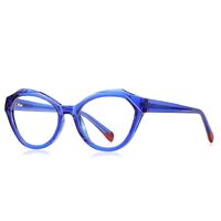 Оправа пластиковая из материала TR-90 с флексом FOCUS FCS2141