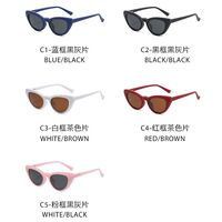 Plastic frame with flex + polarized sun protection magnet clip-on El Dorado EL2351D