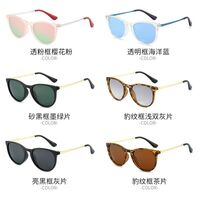 Polarized plastic sunglasses with UV400 protection for kids 4171-GT