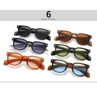 Plastic round sunglasses Elit 6007-EL