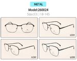 Metal eyeglasses frame for men with spring hinges 260024 (item in stock)