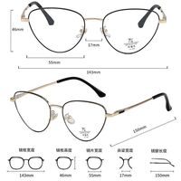 Оправа металлическая с линзами Blue Ray Cut MAMO F93021