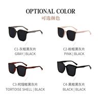 Plastic sunglasses with UV400 protection 2943-GT