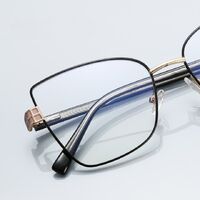 Оправа металлическая + TR90, линзы-блюблокеры с защитой от ультрафиолета и синего света More FCS3141