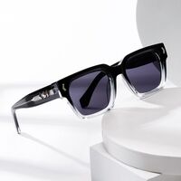 Plastic + metal square sunglasses for men Elit 3210-EL