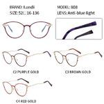 Очки защитные металлические с антибликовым покрытием Landi LD808