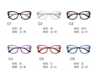 Оправа пластиковая, материал TR-90+CA (флекс!) FOCUS FCS2111