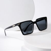 Plastic + metal square sunglasses for men Elit 3630-EL