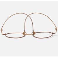 Оправа металлическая из чистого титана SANTA V705