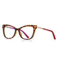 literary and artistic women's optical plastic frames for glasses TR90+CA material (flex hinges) FOCUS FCS2108