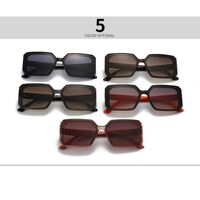 Plastic square sunglasses Elit 3003-EL