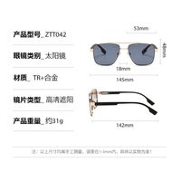 Plastic + metal retro sunglasses Elit ZTT042-EL
