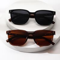 Plastic polarized sunglasses Elit ZT-10058-EL