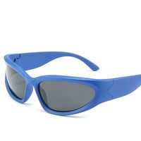 Polarized plastic sunglasses with UV400 protection 2972-GT