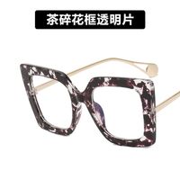 Plastic glasses with blue light protection for women 1916-PN