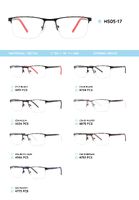 Nylor metal frame with TR-90 temples HS05-17