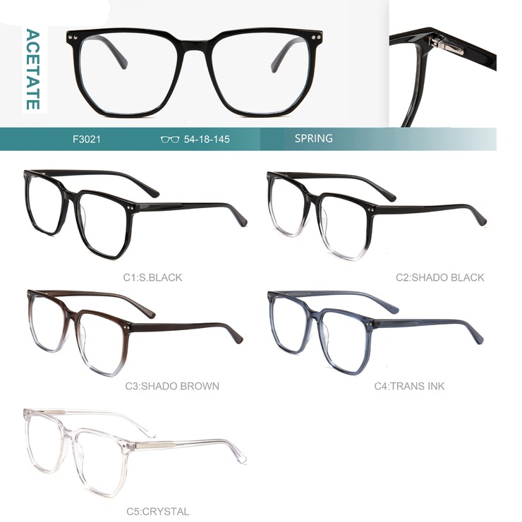 Acetate plastic frames for glasses with spring hinges Big City F3021