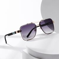 Plastic + metal retro sunglasses Elit ZTT038-EL