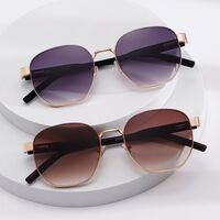 Plastic + metal retro sunglasses Elit ZTT017-EL