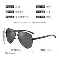 Polarized aluminum-magnesium sunglasses with UV400 protection 2858-GT