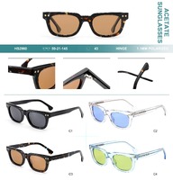 Polarized acetate plastic sunglasses Big City HS2860