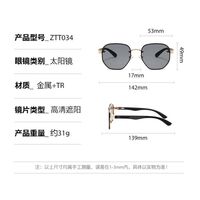 Plastic + metal retro sunglasses Elit ZTT034-EL