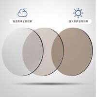 Очки пластиковые TR90 фотохромные с защитой от синего света 9726-GT