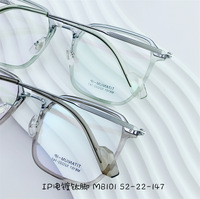 Titanium frame SANTA M8101