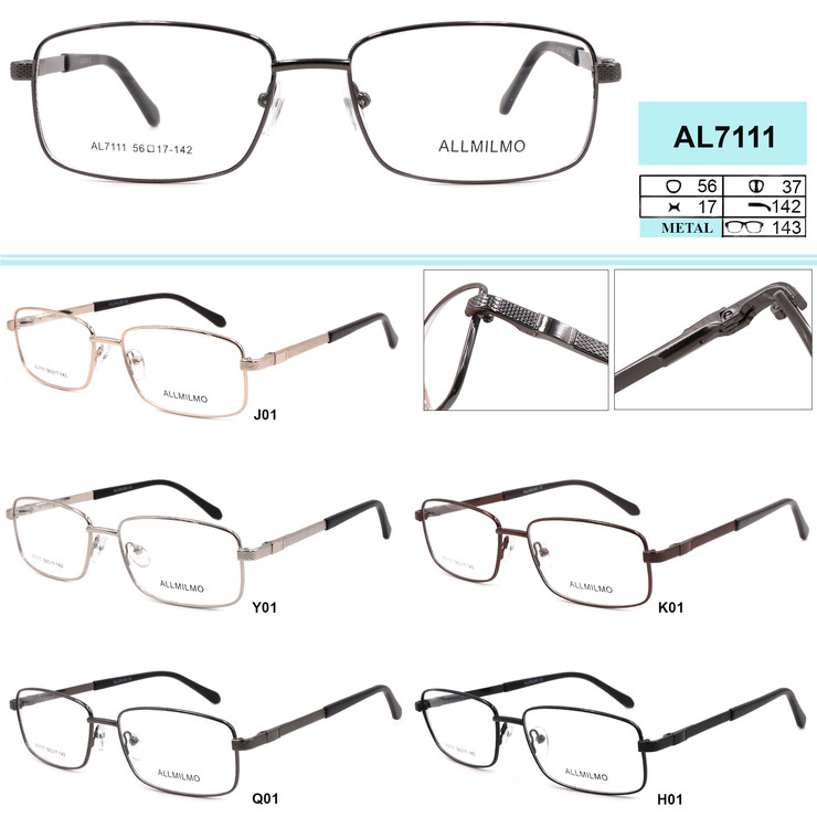 Metal eyeglass frame, material steel Allmilmo AL7111