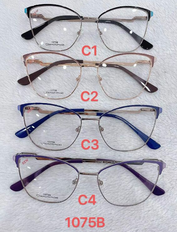 Metal frames for glasses 1075B