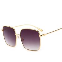 Polarized metal sunglasses with UV400 protection 2699-2-GT