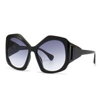 Plastic polygonal sunglasses for women Elit 1222-EL