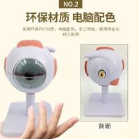 Анатомическая модель (макет) глаза, разборная, масштаб 3:1