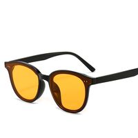 Plastic sunglasses with UV400 protection 5515-GT