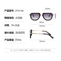 Пластиковые + металл солнцезащитные очки в стиле ретро Elit ZT35106-EL