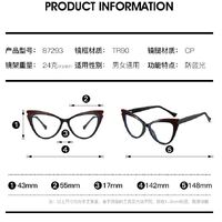 TR90 plastic frame or glasses with blue light protection, with spring hinges FA87293