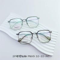 Titanium frame SANTA M8101
