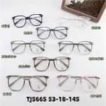 Hybrid metal + TR90 frame, with Blue Block coating SANTA TJ5665