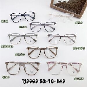 Hybrid metal + TR90 frame, with Blue Block coating SANTA TJ5665