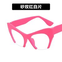 Plastic nylor glasses with blue light protection for women 5310-1536-PN