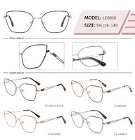 Metal frame with spring hinges LE8856-DA