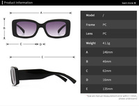 Sunglasses Elit modern cat eye 2102