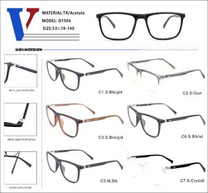 Plastic acetate + TR90 frame with spring hinges D1504-DA