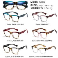 Оправа пластиковая с линзами с защитой от синего света, с флексом Elit 5737-EL